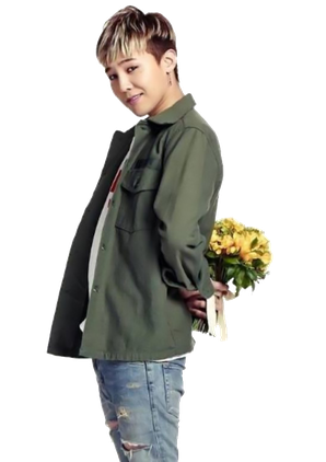 G Dragon Png Transparent Background (black, gray)