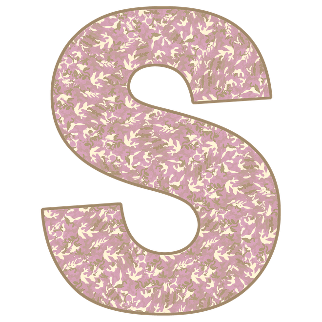 S Letter Png Pic (black, silver)