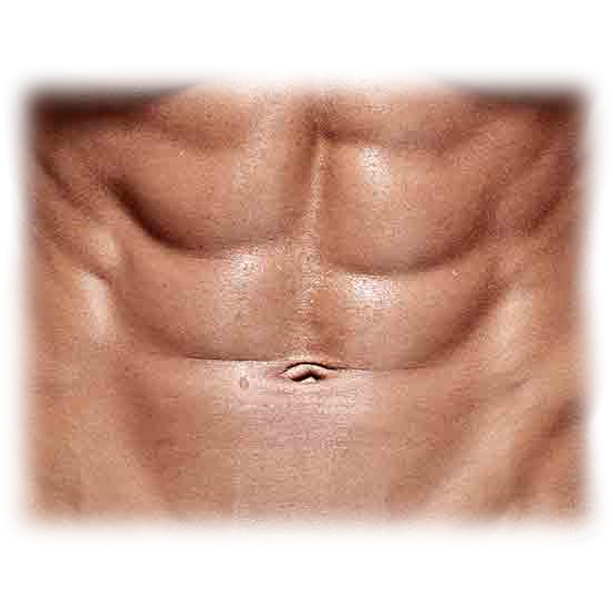 6 Pack Abs Png Hd Isolated (white, salmon, black, gray)