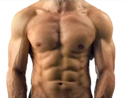 6 Pack Abs Png Hd (white, black, gray)