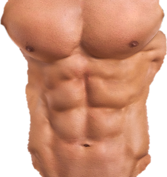 6 Pack Abs Png (salmon, black, chocolate)