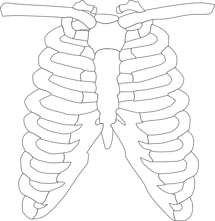 X Ray Download Png Isolated Image (black, silver, white)