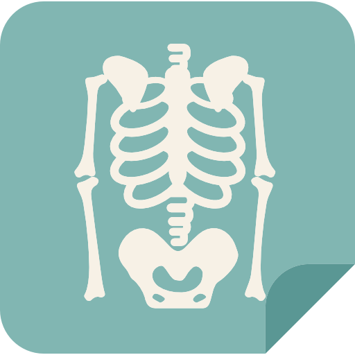 X Rays Icon Free Transparent Png Icon Download (beige, silver, gray, black)