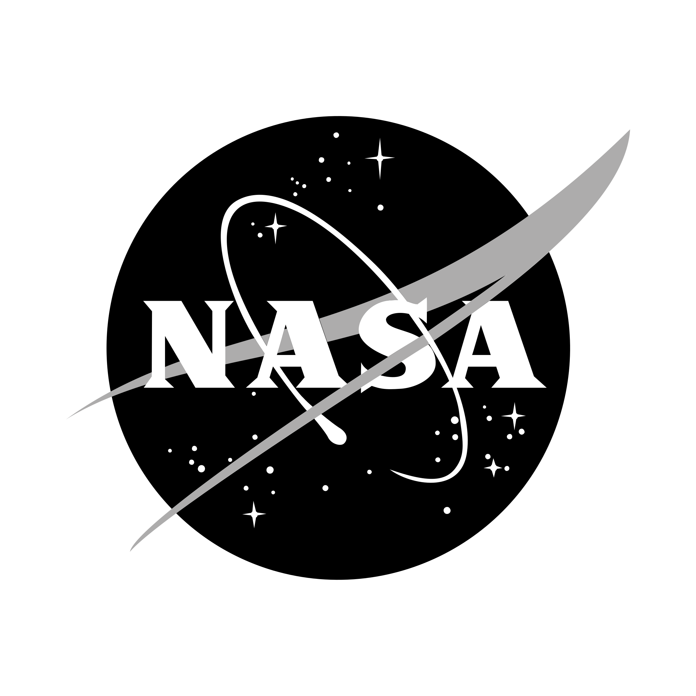 Nasa Logo Png High Quality Image (black, white, silver)