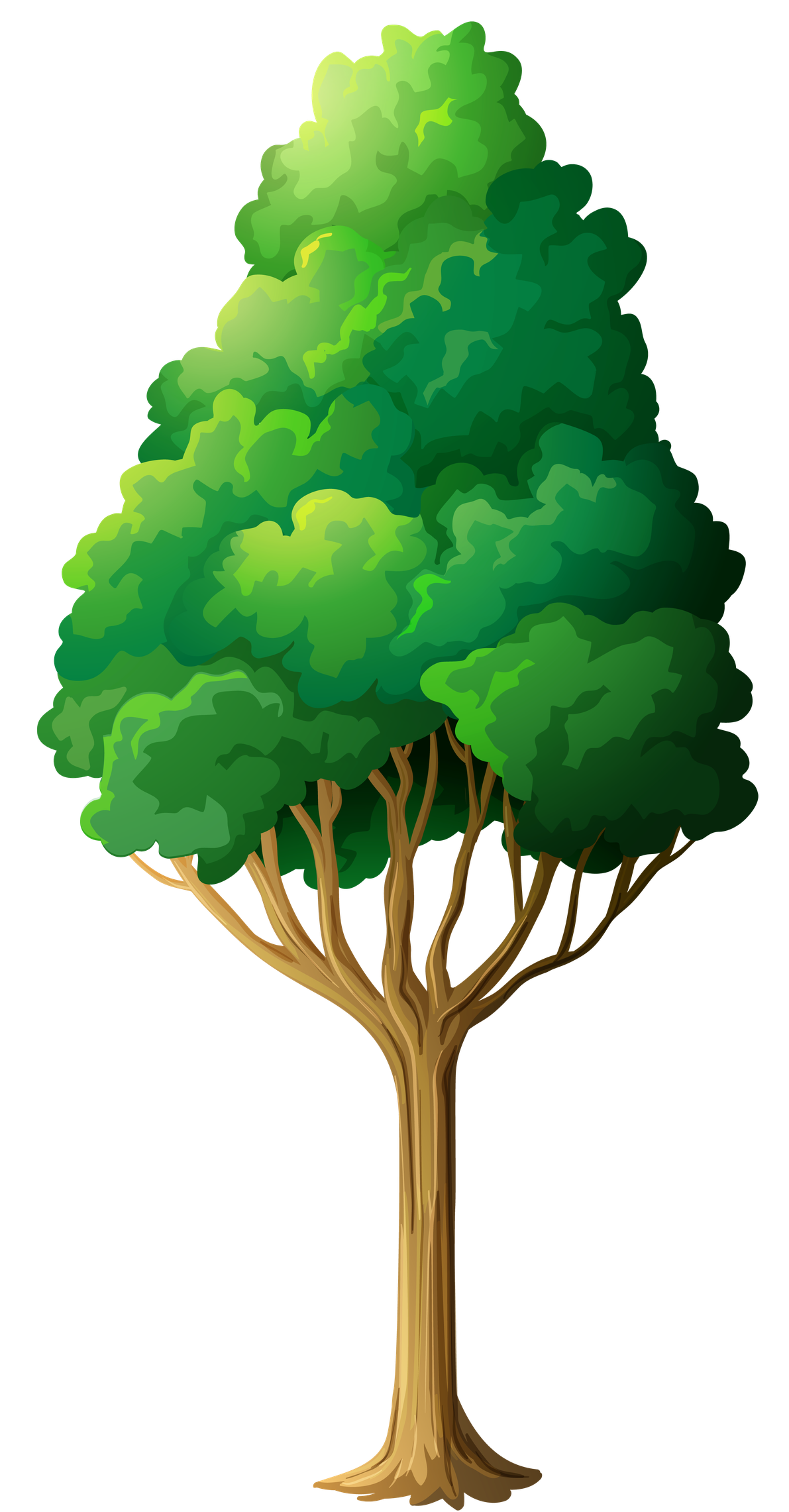 2D Tree Png Hd (teal, black, green)