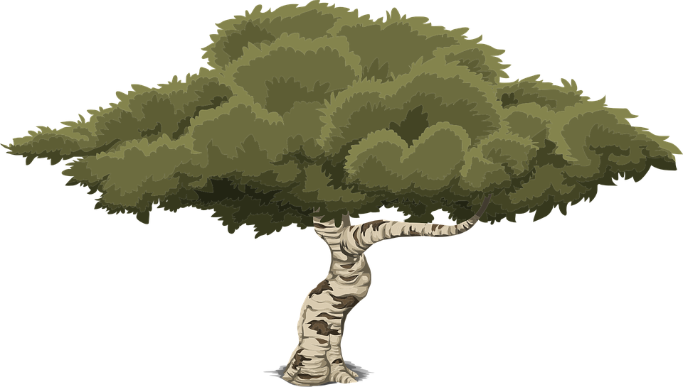 2D Tree Png Image (olive, gray, black)