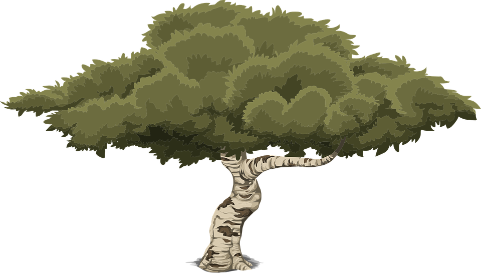 2D Tree Png Image (black, gray, olive)