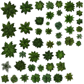 2D Tree Png Isolated Image (black)