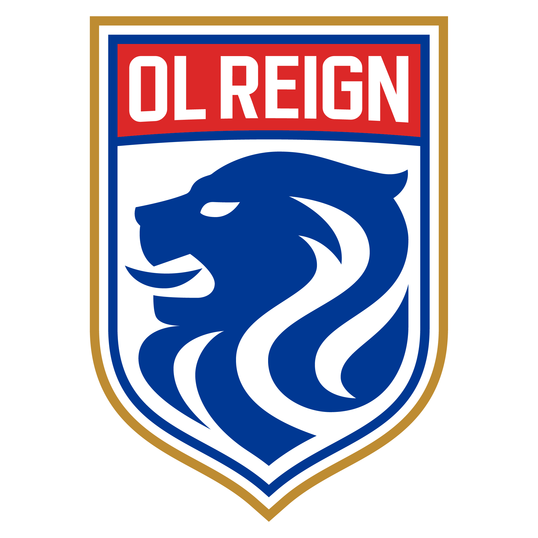 Ol Reign Png Hd (chocolate, teal, salmon, white, navy)