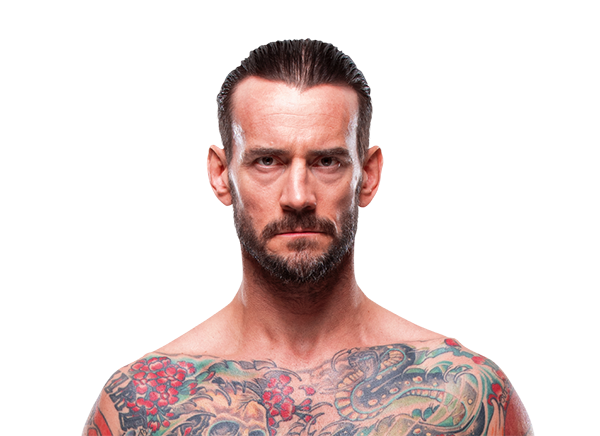 Cm Punk Png Hd Isolated (gray, white, indigo, silver)