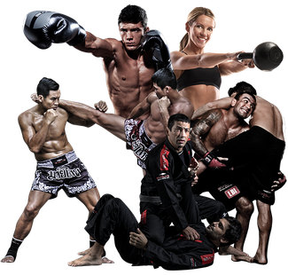 Mma Grappling Transparent Background (black)