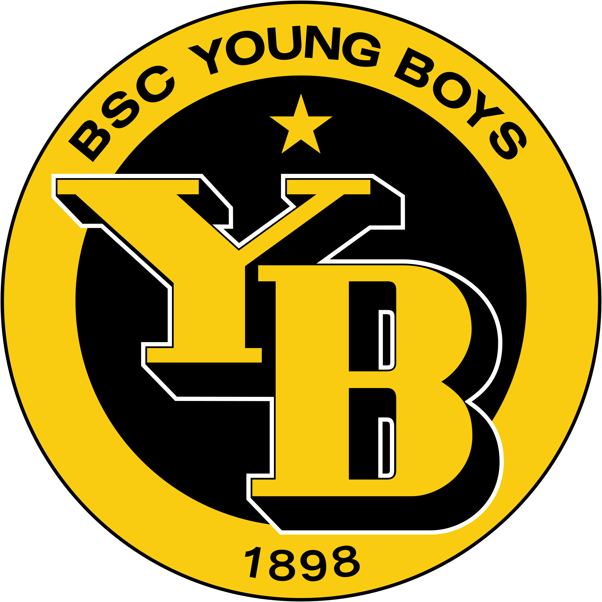 Bsc Young Boys Png (black, gold)