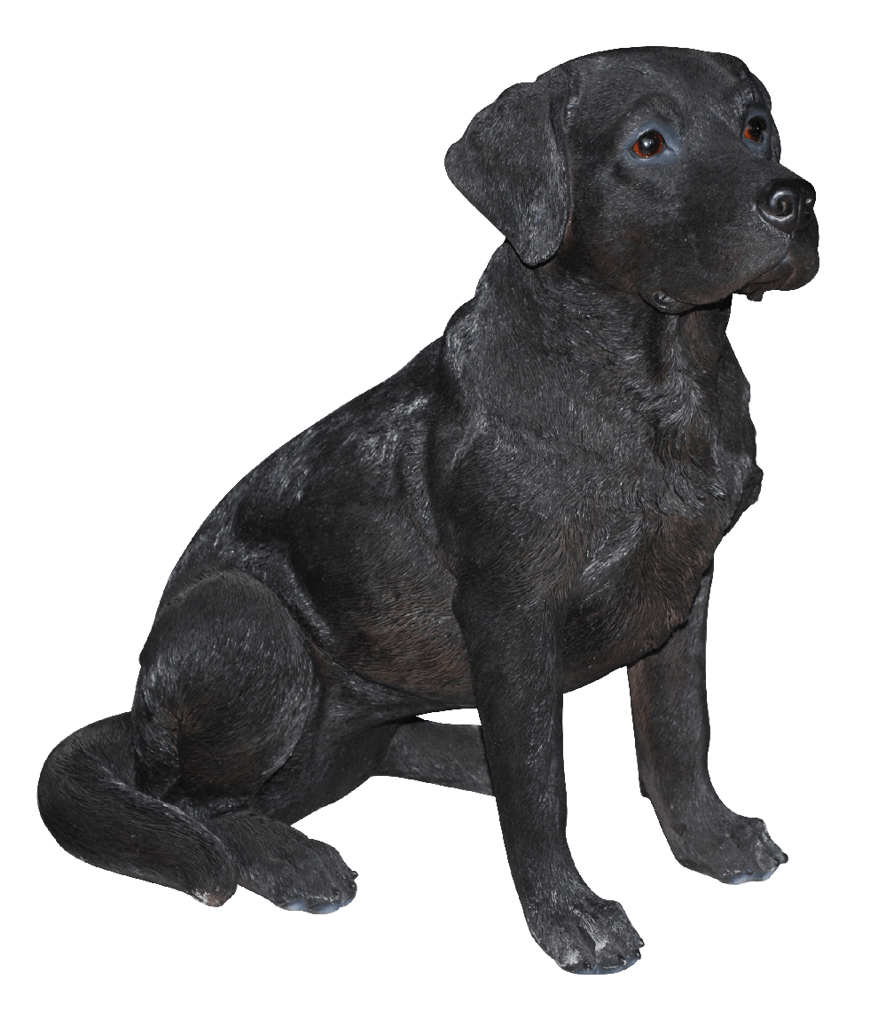 Labrador Retriever Png Transparent Image (indigo, black)