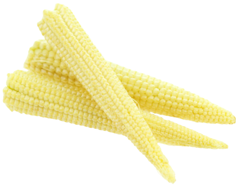 Baby Corn Cobs Cornlets Transparent Png (pink, silver, black, beige)