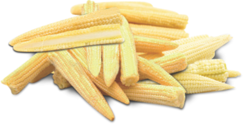 Baby Corn Cobs Vegetable Transparent Png (black)