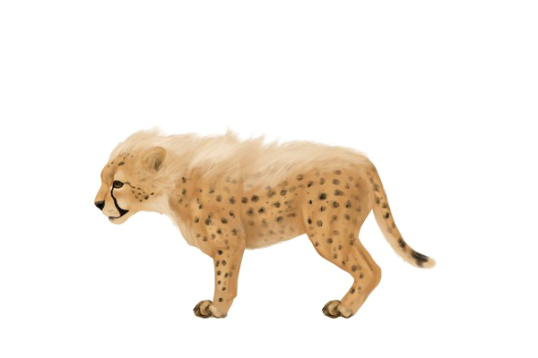 Baby Jaguar Png Image (white, chocolate)