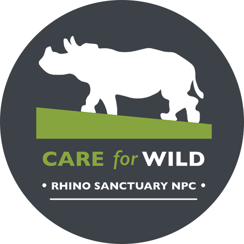 Baby Rhino Png Isolated Image (white, olive, gray, indigo)