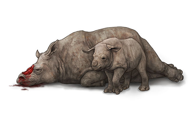 Baby Rhino Png Isolated Photos (white, lavender, black)