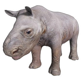 Baby Rhino Png Photo (black, silver)