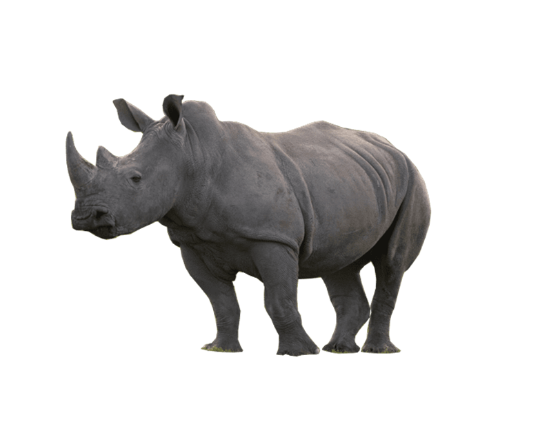 Baby Rhino Png Photos (black, gray, indigo)