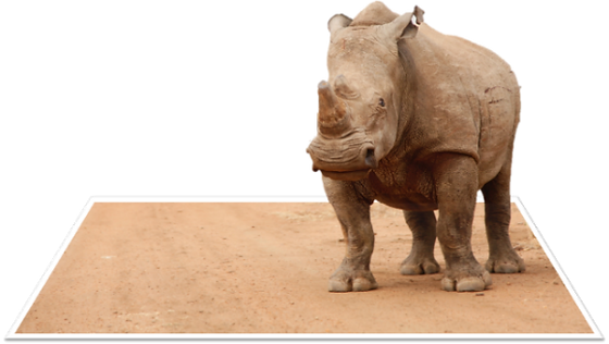 Baby Rhino Png Picture (white, black, silver, pink, gray)