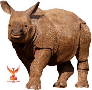 Baby Rhino Transparent Png (black)