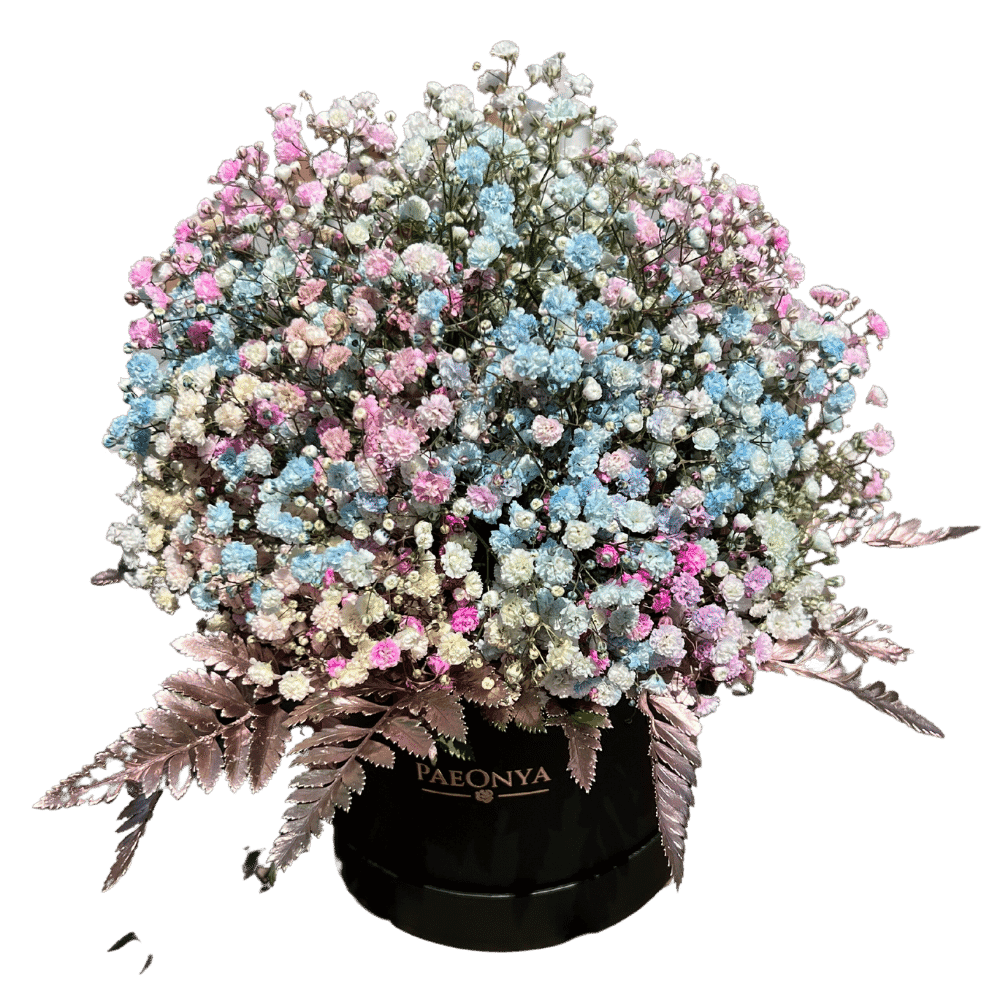 Babys Breath Flower Png Image Hd (black, gray)