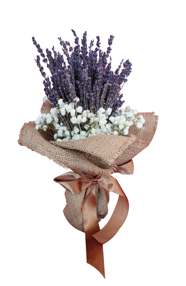 Babys Breath Flower Png Images Hd (black, gray, silver)