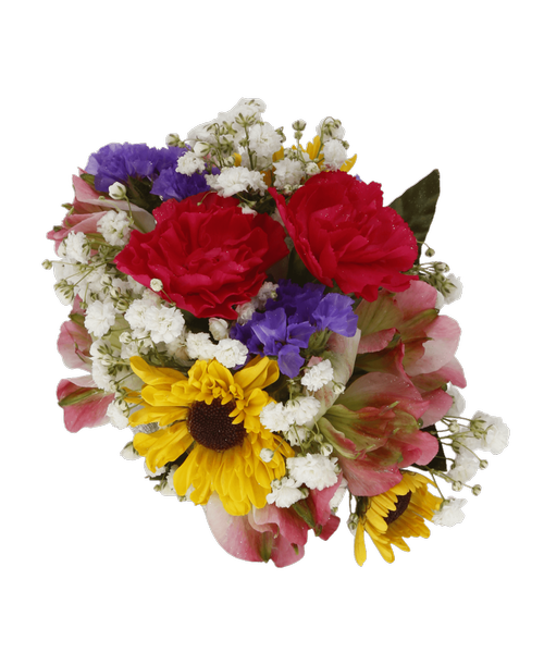 Babys Breath Flower Png Picture (black, maroon, silver)