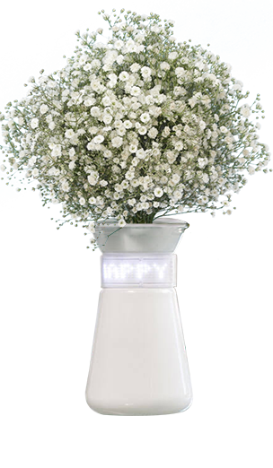 Babys Breath Flower Transparent (white, mint, lavender, silver, beige)