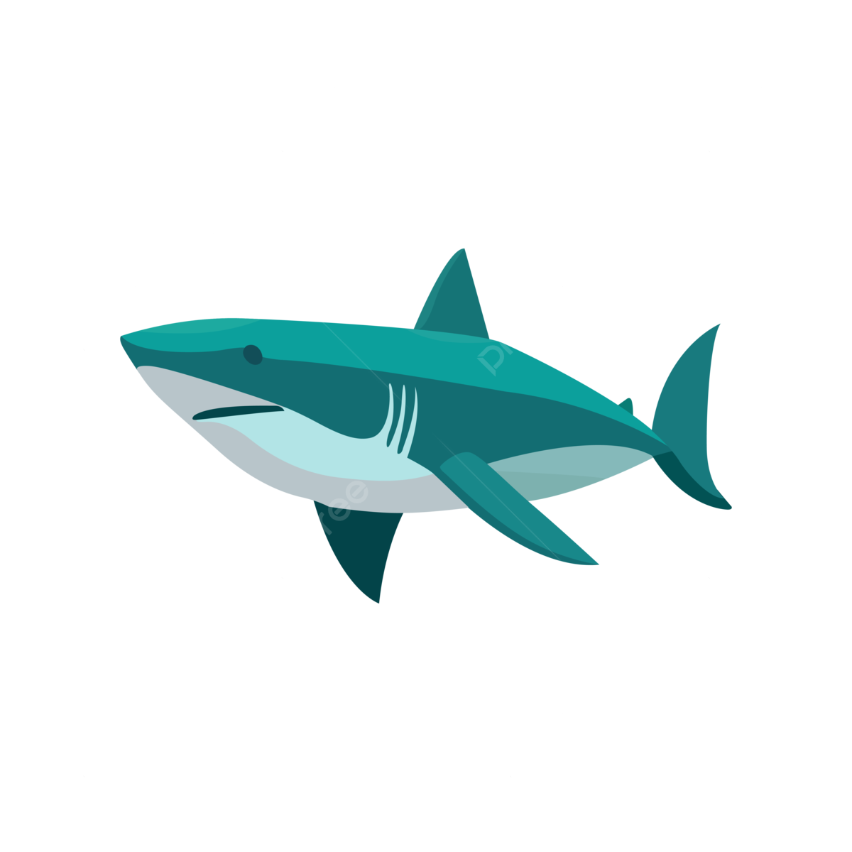 Babyshark Png Photos (mint, black, teal, silver)