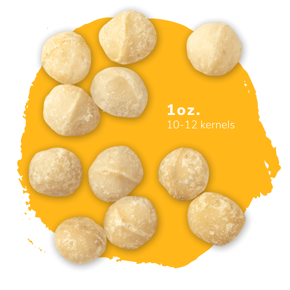 Macadamia Png Isolated Photos (black, orange)