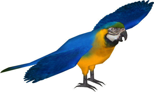 Macaw Download Png Image (navy, black, teal)