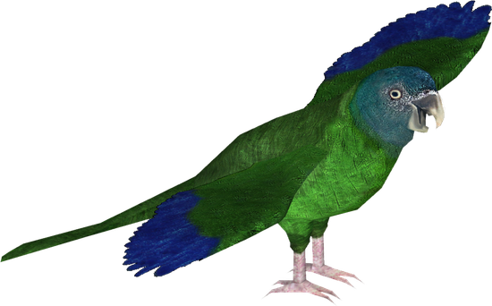 Macaw Png Hd (black)