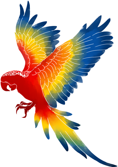 Macaw Png Isolated File (red, maroon, black)