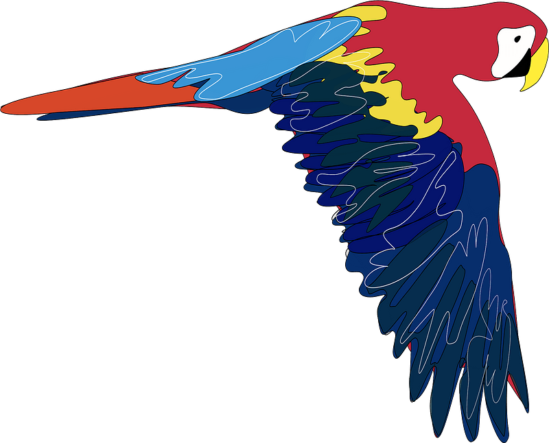 Macaw Png Isolated Pic (navy, gray, chocolate, teal)