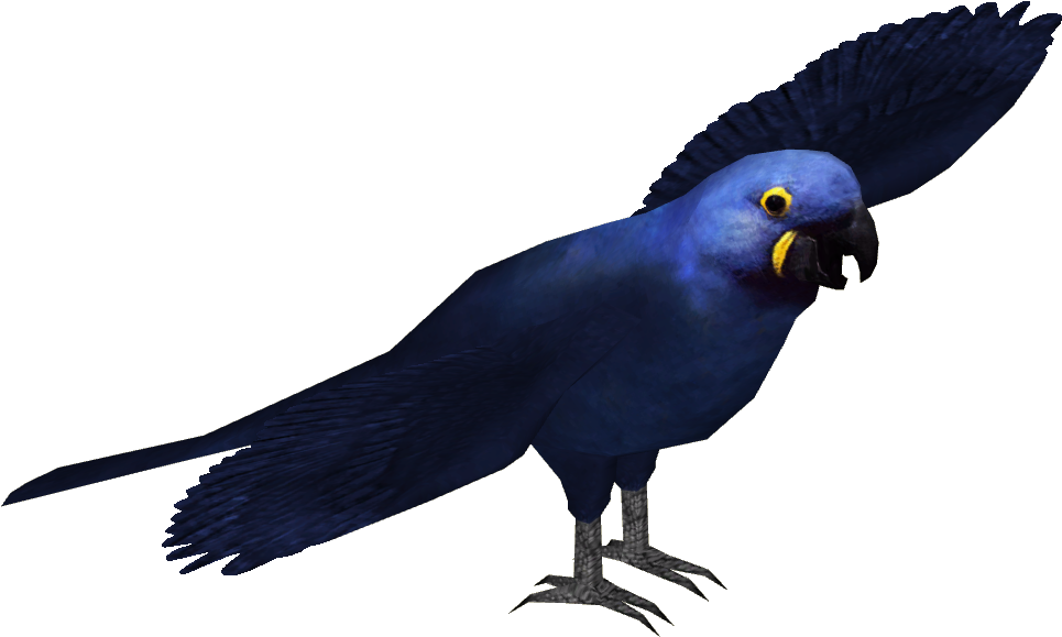 Macaw Png Photos (black)