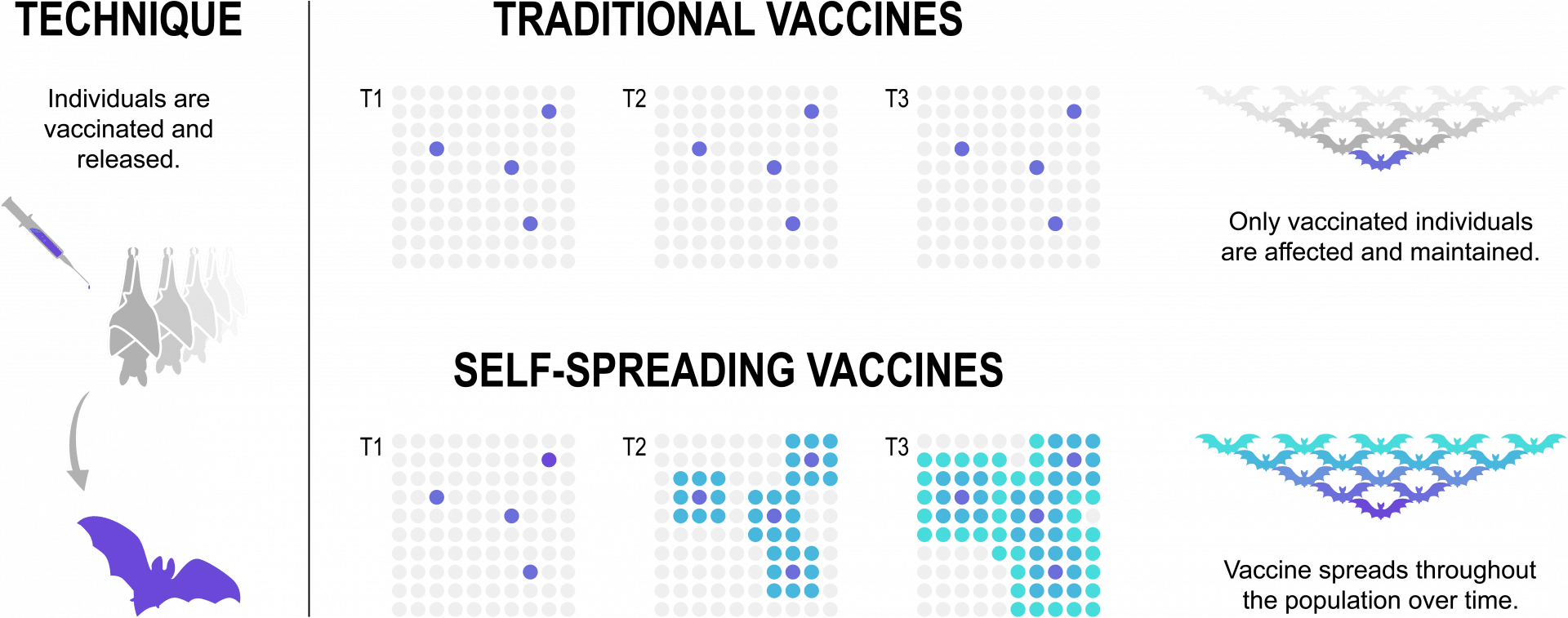 Vaccine Transparent Background (black, green)