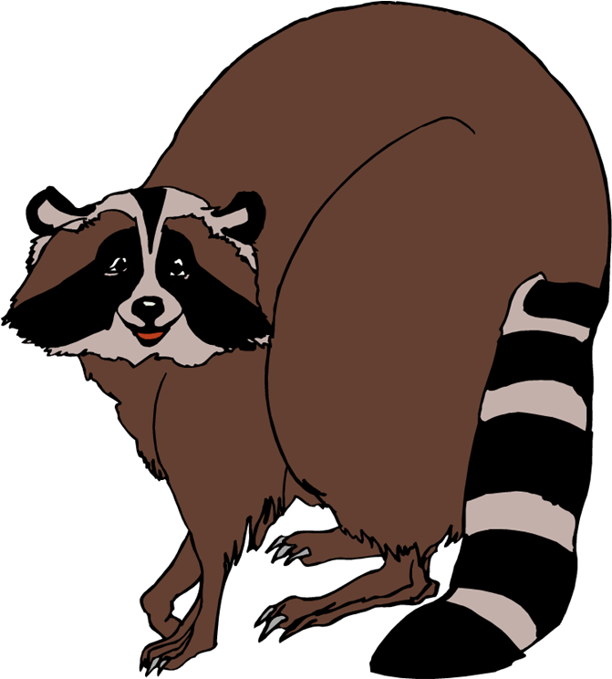 Raccoons Png Hd (olive, silver, black, maroon)