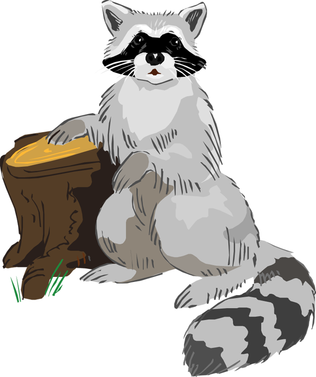 Raccoons Png Pic (gray, lavender, maroon, silver, white)