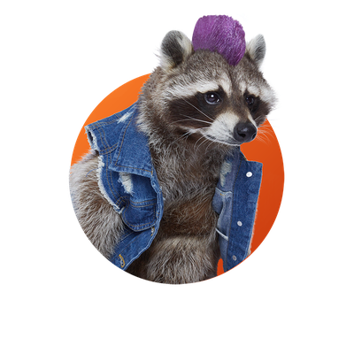 Raccoons Png (chocolate, gray, black, white)