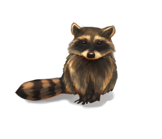 Raccoons Transparent Png (gray, lavender, black, silver, white)