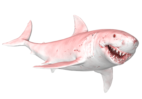 Face Megalodon Shark Png Free Download (beige, pink, black)