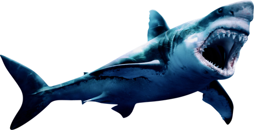 Face Megalodon Shark Png Hd (black)