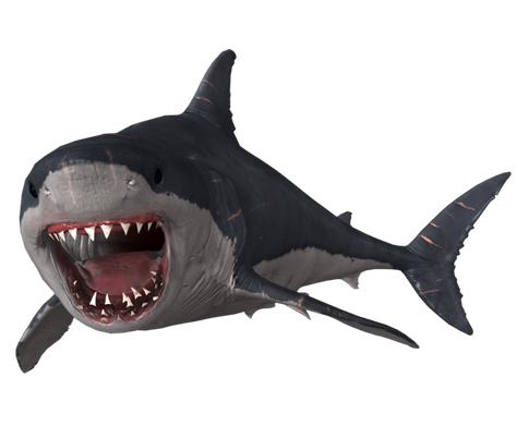 Face Megalodon Shark Png Transparent Image (black)