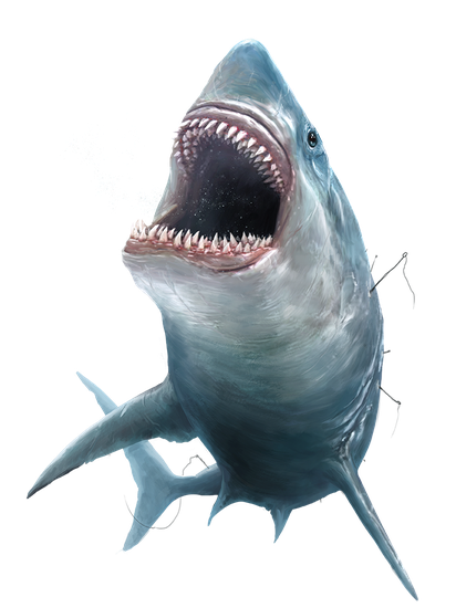 Face Megalodon Shark Transparent Background (black)