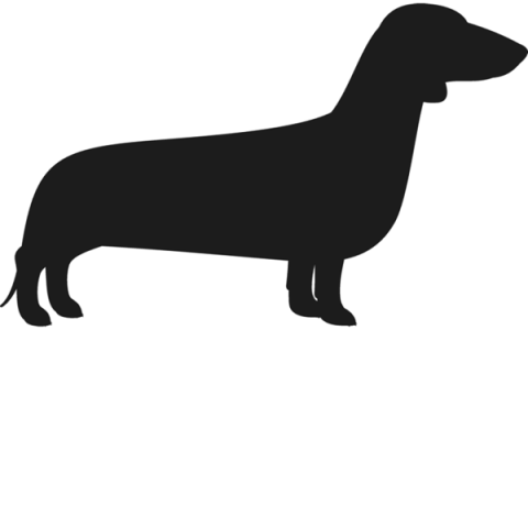 Dachshund Black Png Image (black, white)