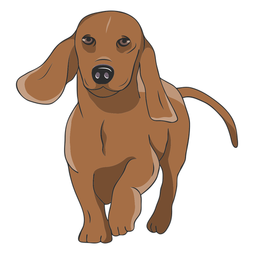 Dachshund Cute Png Photos (chocolate, black, olive)