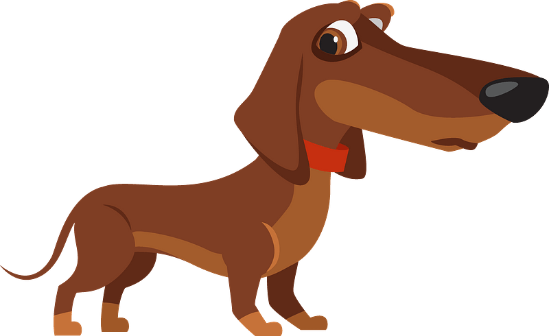 Dachshund Png Image (chocolate, maroon, gray)