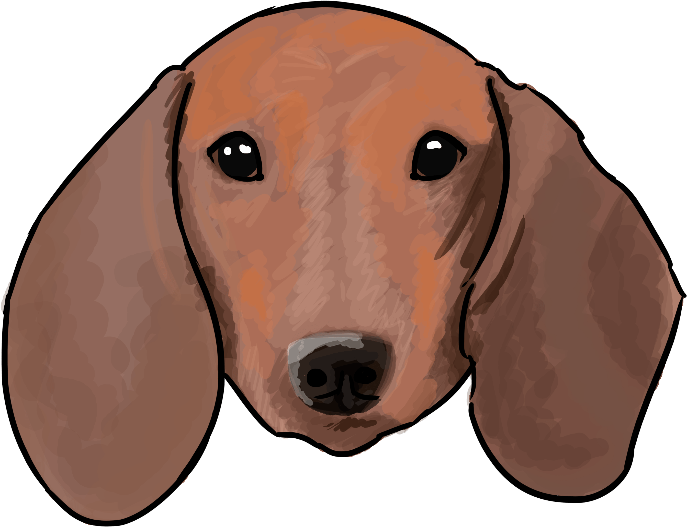 Dachshund Png Images Hd (olive, black, chocolate, gray)